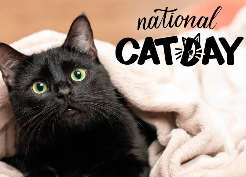 What is Singapore's national cat?